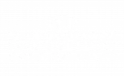 The SD Collective